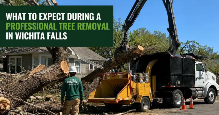 Professional Tree Removal in Wichita Falls, TX, crew safely removing a large fallen tree in a residential area of Wichita Falls using heavy equipment and a wood chipper.