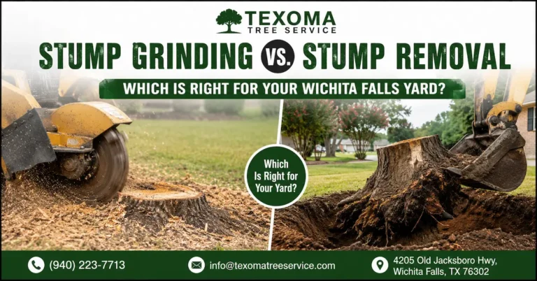 Stump grinding vs stump removal comparison in Wichita Falls yard showing tree stump removal process and grinding equipment by Texoma Tree Service