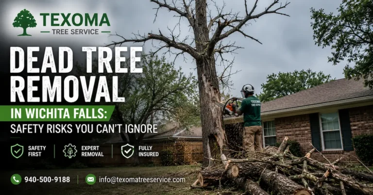Professional arborist performing Dead tree removal in Wichita Falls in a residential yard, highlighting critical safety risks and emergency tree removal services.