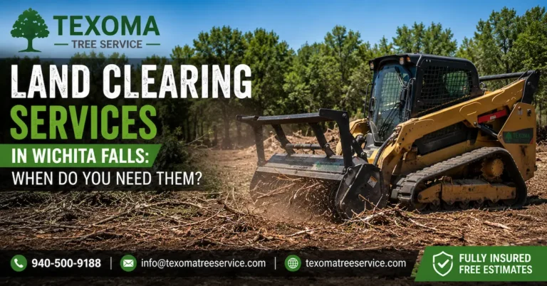 Heavy machinery performing professional land clearing services in Wichita Falls with forest and brush removal for construction and property preparation.