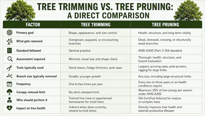 Comparison chart showing the differences between tree trimming and tree pruning, including goals, tools, frequency, canopy removal limits, tree health impact, and professional requirements.